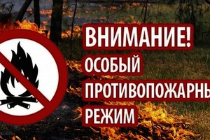 В период с 15 апреля по 1 июня на территории Кузбасса установлен особый противопожарный режим