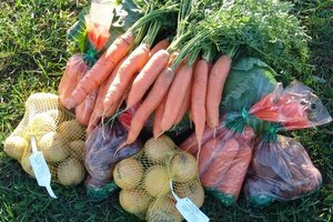 В Кузбассе проводится акция по обеспечению отдельных категорий граждан, которые по состоянию здоровья не могут возделывать огород и обеспечить себя овощами на зиму, овощными наборами