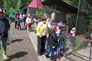 День доброты