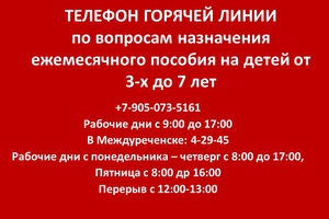 Министерством социальной защиты населения Кузбасса открыты телефоны "горячей линии"