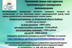 Признание семьи или одиноко проживающего гражданина  малоимущими