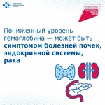 Проверить здоровье можно во время бесплатной диспансеризации по нацпроекту «Продолжительная и активная жизнь».