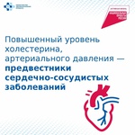 Проверить здоровье можно во время бесплатной диспансеризации по нацпроекту «Продолжительная и активная жизнь».
